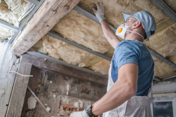 Best Insulation for Specific Applications in West Pelzer, SC
